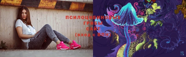 дмт Аркадак