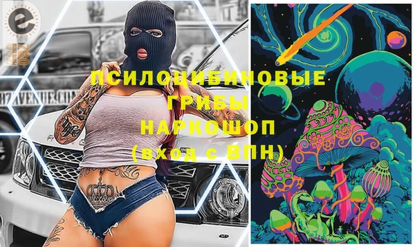 дмт Аркадак