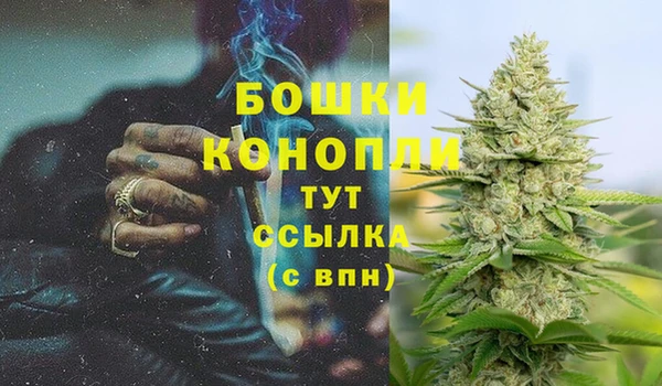дмт Аркадак